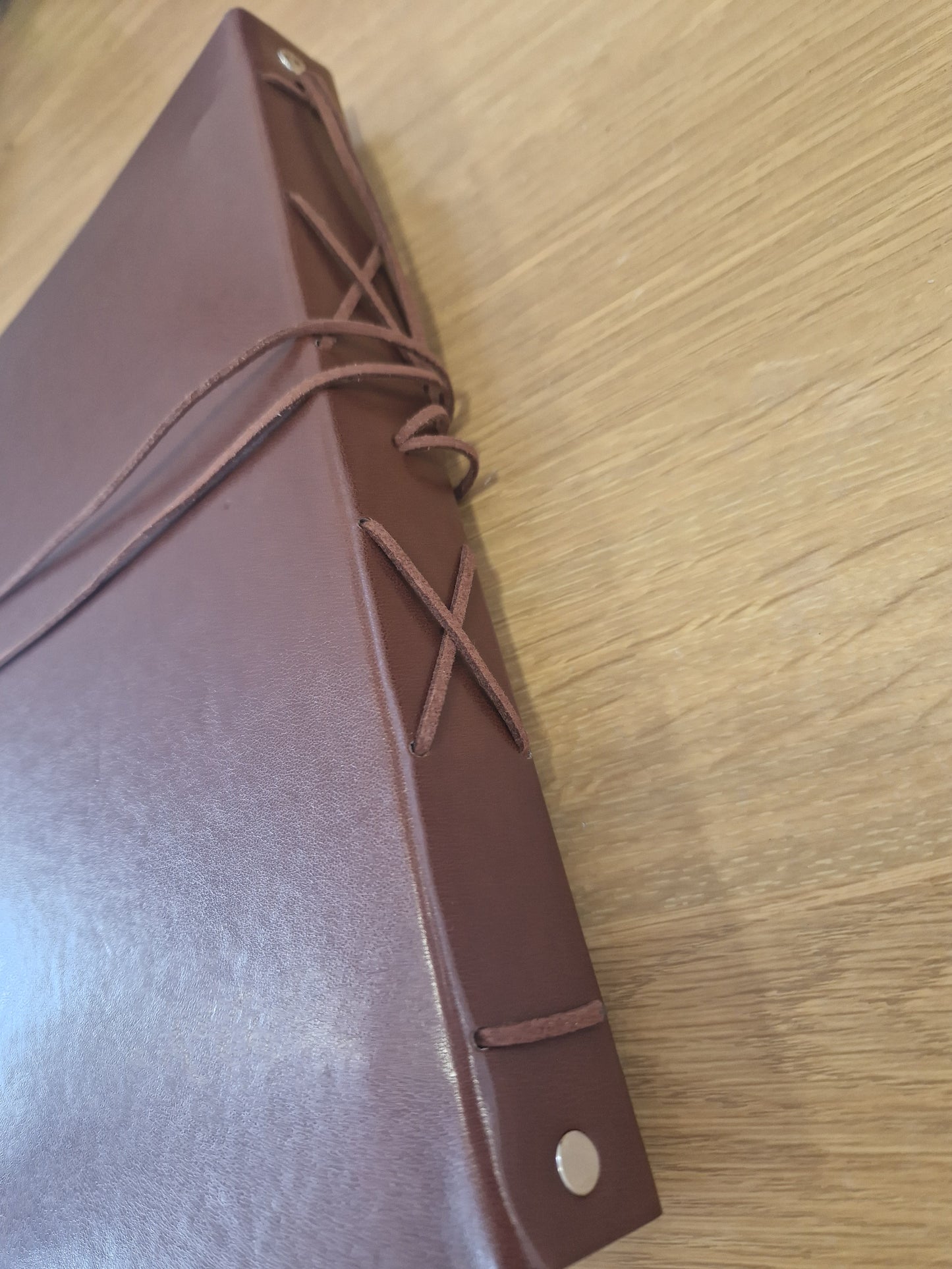 Leather scrap book or photo album with Lion design